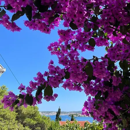 Planinic * Rogoznica (Sibenik-Knin)