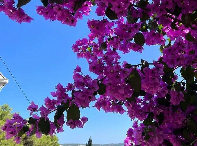 Planinic, Nova B, 2 * Rogoznica (Sibenik-Knin)